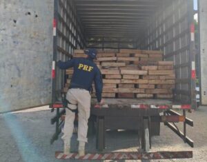 PRF-apreende-9-toneladas-de-peixe-transportado-irregularmente-na-BR-116-em-Milagres-Foto-Reproducao-PRF