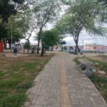 Praca-do-conjunto-Feira-IV