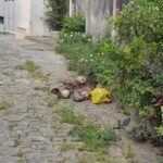 Rua-Vazante-no-bairro-Sobradinho-cocos-e-iluminacao