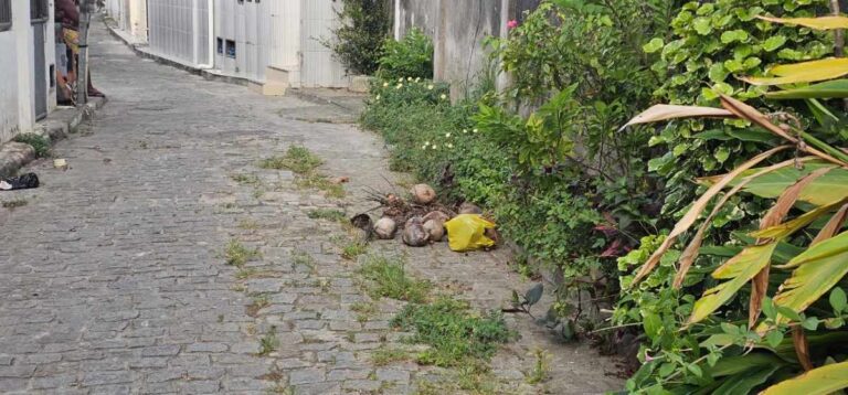 Rua-Vazante-no-bairro-Sobradinho-cocos-e-iluminacao