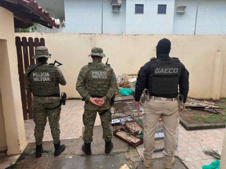 acao-contra-trafico-030326