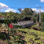 acidente-de-caminhao-Foto-Reproducao-Achei-Sudoeste