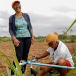 agua-agricultura-foto-Manuela-Cavadas-e-Carlinhos-Lages-ARCAS