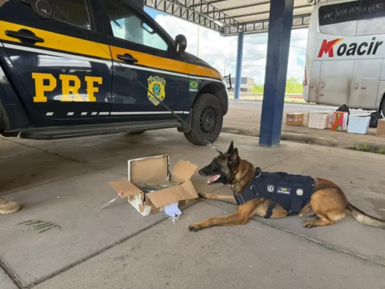 apreensao-PRF
