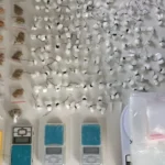 apreensao-de-drogas-