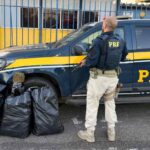 apreensao-de-drogas-foto-prf-1