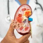 bandeira-da-india-com-logotipo-de-carrinho-de-compras-on-line-importacao-e-exportacao_1263944-504