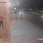 camera-de-seguranca-flarga-homem-furtando-fios-em-clinica-de-Feira-de-Santana-foto-reproducao-