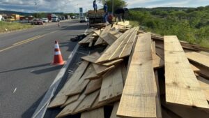 caminhao-carregado-de-madeira-tomba-na-BR-116-em-Brejoes-foto-reproducao-Blog-do-Marcos-Frahm-