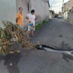 caminho-15-cj-feira-iv-buraco