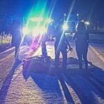 cao-permanece-ao-lado-de-homem-atropelado-na-br-101