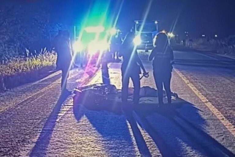 cao-permanece-ao-lado-de-homem-atropelado-na-br-101