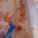 carne-estragada-foto-lay-amorim