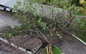 chuvas-vitoria-da-conquista-2-1