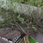 chuvas-vitoria-da-conquista-2