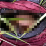 cranio-humano-encntrado-Ipira-foto-reproducao-