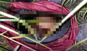 cranio-humano-encntrado-Ipira-foto-reproducao-