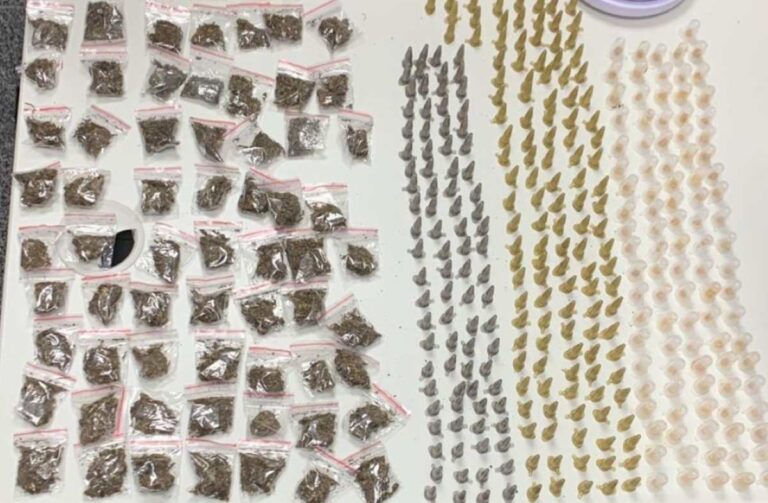 drogas-apreendidas-foto-policia-militar