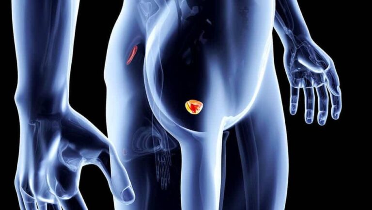 homem-masculino-corpo-prostata-foto-divulgacao-