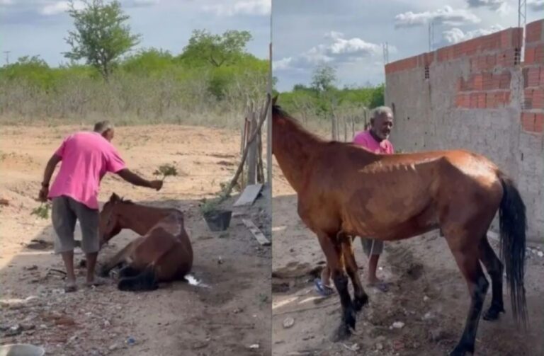 homem-rezando-cavalo-foto-reproducao-redes-sociais