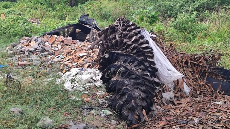 lixo-bairro-Asa-Branca-foto-ed-santos-acorda-cidade-00