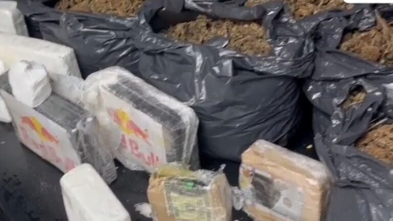 maconha-apreendida-pela-policia-civil-em-Feira-de-Santana-foto-Divulgacao-
