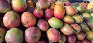 manga-Feirinha-da-Estacao-Nova-paulo-joe-acorda-cidade