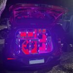 paredoes-apreendidos-pela-policia-militar-3