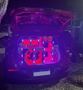 paredoes-apreendidos-pela-policia-militar-3