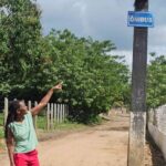 ponto-de-onibus-na-Tapera-II