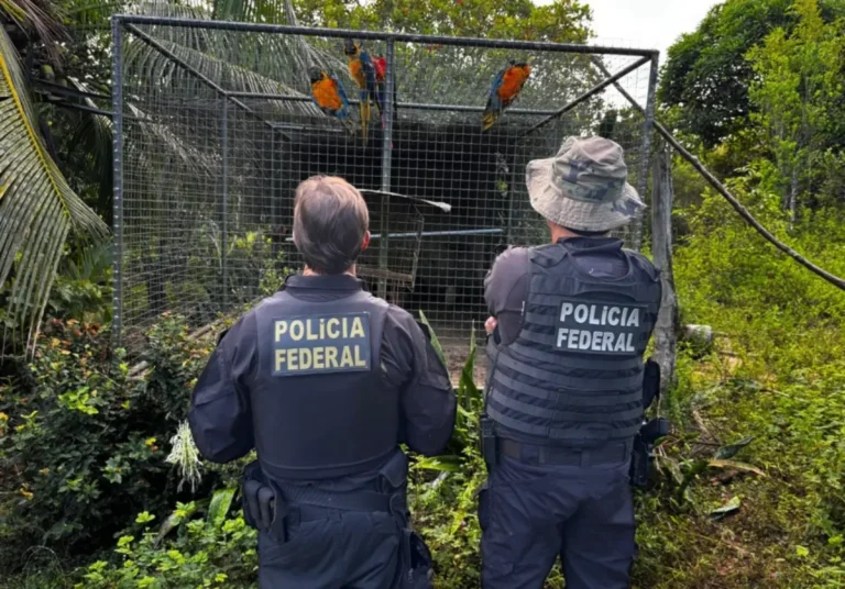 trafico-de-animais-silvestres-1-1