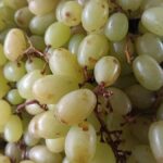 uva-verde-fruta-feirinha-da-estacao-nova-em-Feira-de-Santana-foto-Paulo-Jose-Acorda-Cidade