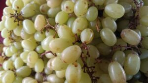 uva-verde-fruta-feirinha-da-estacao-nova-em-Feira-de-Santana-foto-Paulo-Jose-Acorda-Cidade