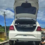 2-homens-encontrados-mortos-em-carro-roubado