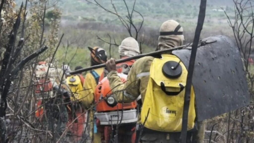 Brigadistas-brigada-incendio-queimadas-foto-Uilians-Marques