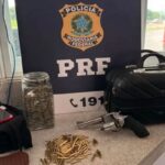 Cao-farejador-encontra-drogas-arma-e-municoes-durante-acao-da-PRF-em-Vitoria-da-Conquista-Foto-Divulgacao-PRF