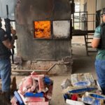 Maconha-dogras-destruidas-em-Juazeiro-foto-divulgacao-