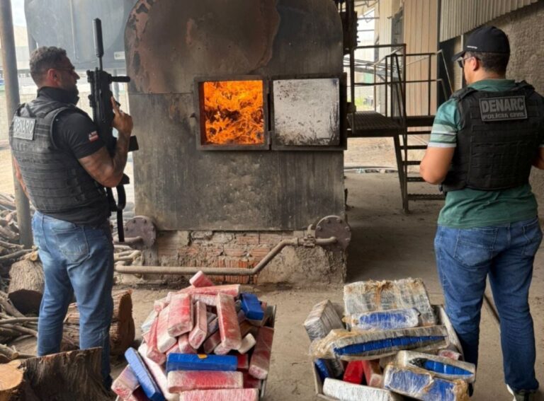 Maconha-dogras-destruidas-em-Juazeiro-foto-divulgacao-1-1