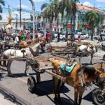 Manifestacao-de-carroceiros-Foto-Paulo-Jose-Acorda-Cidade