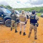Operacao-policial-erradica-mais-de-125-mil-pes-de-maconha-e-desmonta-4-rocas-em-uma-semana-Foto-Divulgacao-SSP