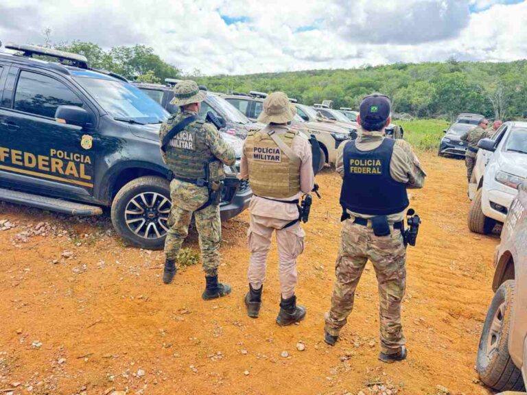 Operacao-policial-erradica-mais-de-125-mil-pes-de-maconha-e-desmonta-4-rocas-em-uma-semana-Foto-Divulgacao-SSP