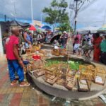 Policia-resgata-21-aves-silvestres-em-Feira-do-Rolo-de-Salvador-Foto-Policia-Militar-DCS-270426