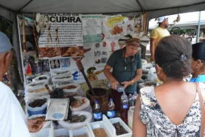 Raizeira-Sucupira-Foto-Gabriel-Calazans-11-03-26-1