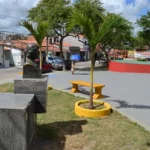 Reforma-da-Pra_a-Dona-Pomba-fotos-Jorge-Magalh_es-10