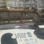 apreensao-de-drogas-arma-e-aves-silvestres