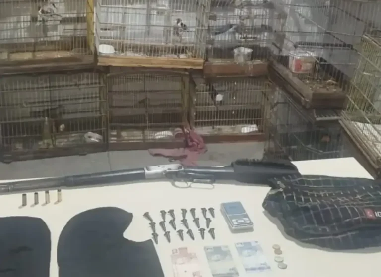 apreensao-de-drogas-arma-e-aves-silvestres