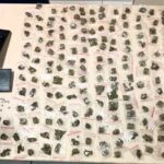 drogas-apreendidas-foto-policia-militar