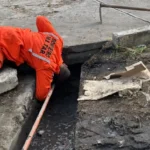 filhotes-sao-resgatados-por-bombeiros-1-1