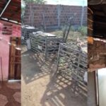 72-aves-sao-resgatadas-em-situacao-de-maus-tratos-em-Conceicao-do-Coite-Foto-Reproducao-PCBA