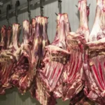 Carne-bovina